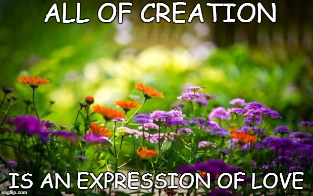 flowers | ALL OF CREATION; IS AN EXPRESSION OF LOVE | image tagged in flowers | made w/ Imgflip meme maker