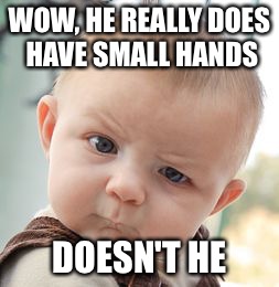 Skeptical Baby Meme | WOW, HE REALLY DOES HAVE SMALL HANDS DOESN'T HE | image tagged in memes,skeptical baby | made w/ Imgflip meme maker