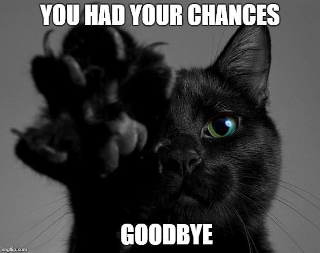 YOU HAD YOUR CHANCES; GOODBYE | image tagged in cats | made w/ Imgflip meme maker