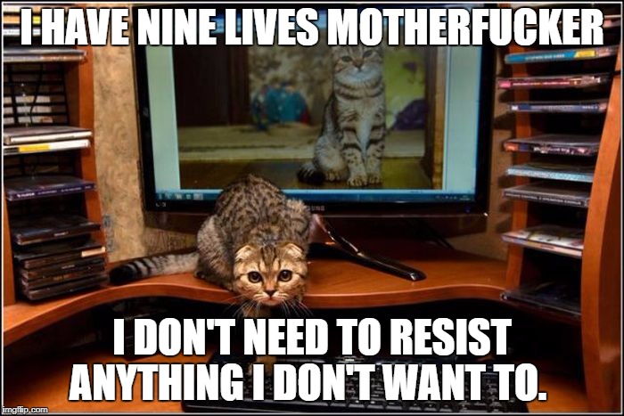 I HAVE NINE LIVES MOTHERFUCKER; I DON'T NEED TO RESIST ANYTHING I DON'T WANT TO. | image tagged in cat | made w/ Imgflip meme maker