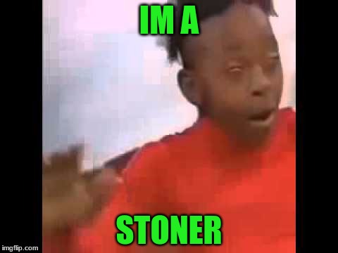 IM A; STONER | image tagged in im a stoner | made w/ Imgflip meme maker