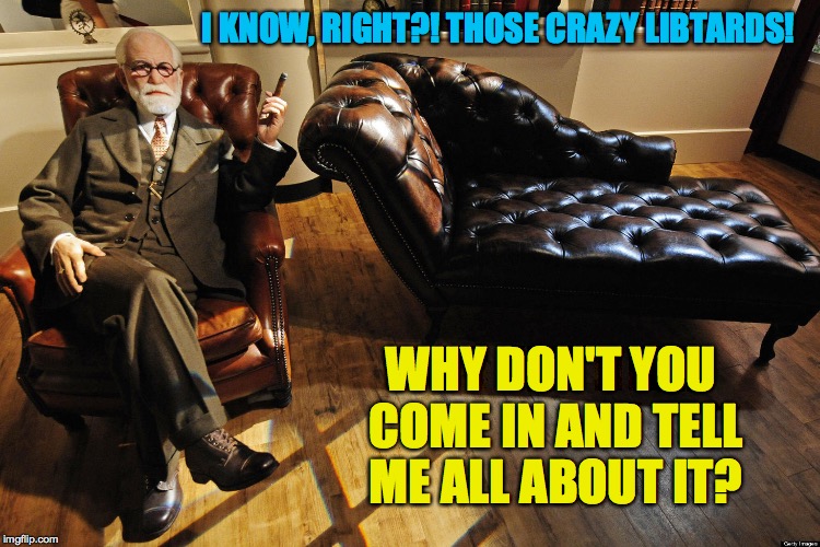 I think I can help you. | I KNOW, RIGHT?! THOSE CRAZY LIBTARDS! WHY DON'T YOU COME IN AND TELL ME ALL ABOUT IT? | image tagged in memes,freud,help the contards fund | made w/ Imgflip meme maker