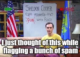 Needed this so I made a new template - have fun with it | I just thought of this while flagging a bunch of spam | image tagged in sheldon cooper presents fun with flags | made w/ Imgflip meme maker