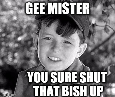 GEE MISTER YOU SURE SHUT THAT BISH UP | image tagged in beave | made w/ Imgflip meme maker