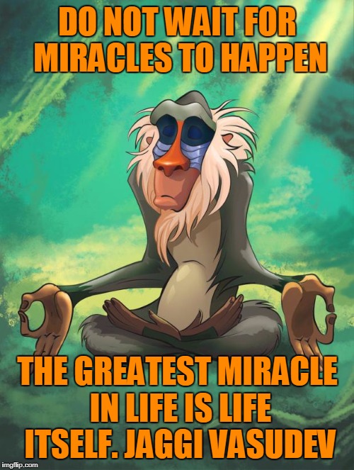 Rafiki wisdom | DO NOT WAIT FOR MIRACLES TO HAPPEN; THE GREATEST MIRACLE IN LIFE IS LIFE ITSELF.
JAGGI VASUDEV | image tagged in rafiki wisdom | made w/ Imgflip meme maker