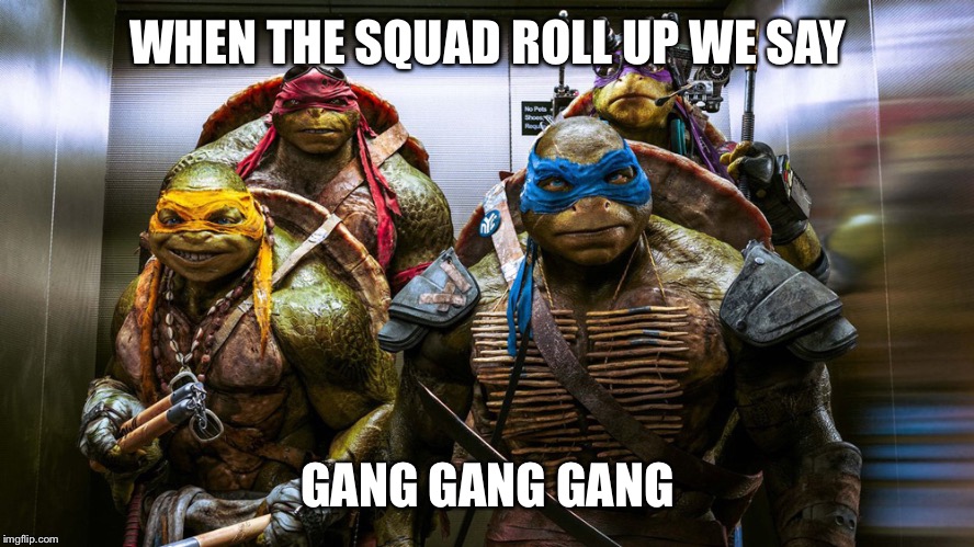 WHEN THE SQUAD ROLL UP WE SAY; GANG GANG GANG | image tagged in ninja turtles | made w/ Imgflip meme maker