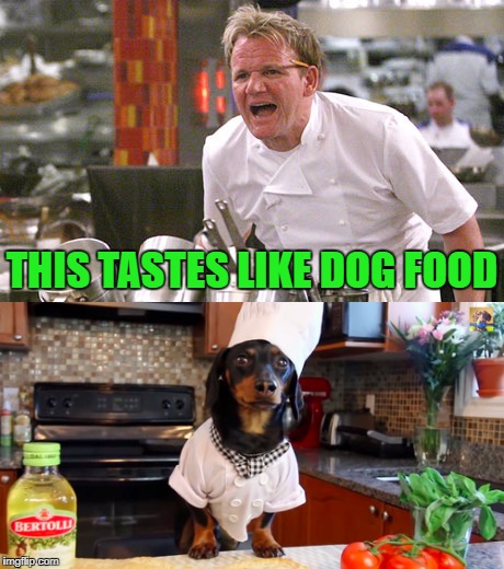 You don't say... | THIS TASTES LIKE DOG FOOD | image tagged in gordon ramsay,memes,dog chef,funny,dogs,animals | made w/ Imgflip meme maker