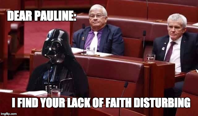 Pauline Hanson Darth Vader Burkah | DEAR PAULINE:; I FIND YOUR LACK OF FAITH DISTURBING | image tagged in pauline hanson,burka | made w/ Imgflip meme maker