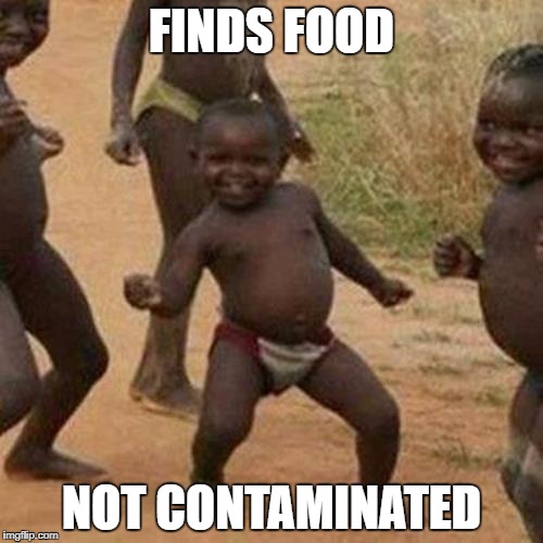 Third World Success Kid Meme | FINDS FOOD; NOT CONTAMINATED | image tagged in memes,third world success kid | made w/ Imgflip meme maker