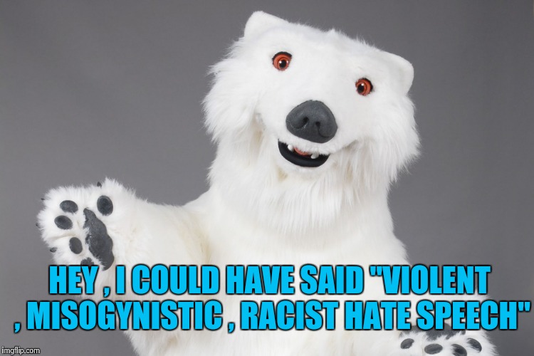 Polar Bear | HEY , I COULD HAVE SAID "VIOLENT , MISOGYNISTIC , RACIST HATE SPEECH" | image tagged in polar bear | made w/ Imgflip meme maker