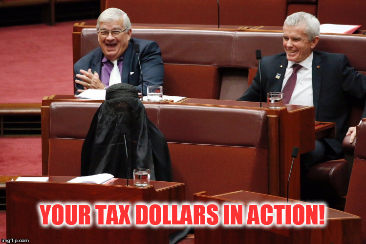 YOUR TAX DOLLARS IN ACTION! | image tagged in pauline hanson,burqa,tax dollars | made w/ Imgflip meme maker