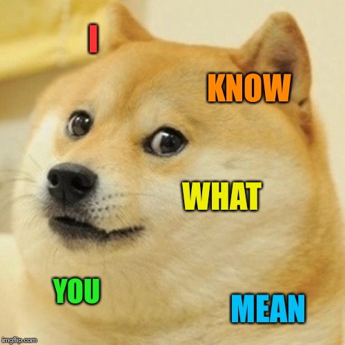 Doge Meme | I KNOW WHAT YOU MEAN | image tagged in memes,doge | made w/ Imgflip meme maker