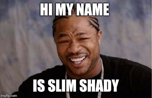 Yo Dawg Heard You | HI MY NAME; IS SLIM SHADY | image tagged in memes,yo dawg heard you | made w/ Imgflip meme maker
