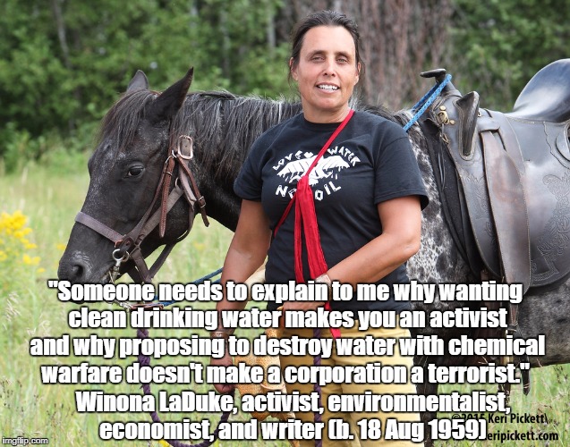 "Someone needs to explain to me why wanting clean drinking water makes you an activist and why proposing to destroy water with chemical warf | made w/ Imgflip meme maker