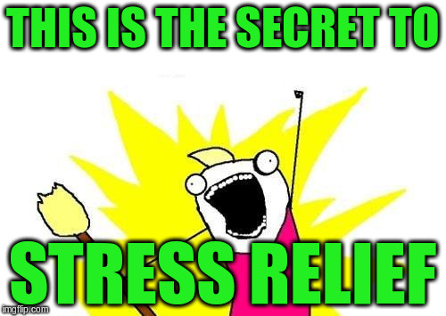 X All The Y Meme | THIS IS THE SECRET TO STRESS RELIEF | image tagged in memes,x all the y | made w/ Imgflip meme maker