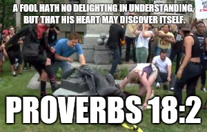 Idiots at work | A FOOL HATH NO DELIGHTING IN UNDERSTANDING, BUT THAT HIS HEART MAY DISCOVER ITSELF. PROVERBS 18:2 | image tagged in retarded liberal protesters | made w/ Imgflip meme maker