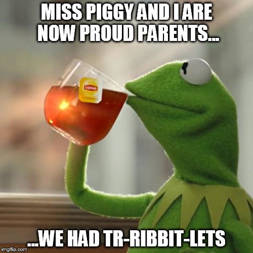 Just doin' it froggy-style | MISS PIGGY AND I ARE NOW PROUD PARENTS... ...WE HAD TR-RIBBIT-LETS | image tagged in memes,but thats none of my business,kermit the frog,miss piggy,bad puns | made w/ Imgflip meme maker