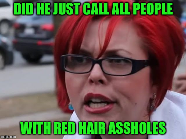 DID HE JUST CALL ALL PEOPLE WITH RED HAIR ASSHOLES | made w/ Imgflip meme maker