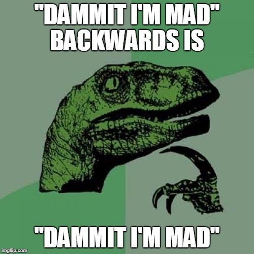 Philosoraptor Meme | "DAMMIT I'M MAD" BACKWARDS IS; "DAMMIT I'M MAD" | image tagged in memes,philosoraptor | made w/ Imgflip meme maker