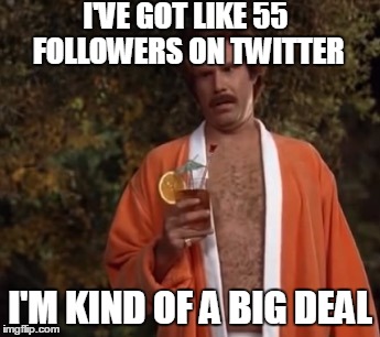 Big deal | I'VE GOT LIKE 55 FOLLOWERS ON TWITTER; I'M KIND OF A BIG DEAL | image tagged in big deal | made w/ Imgflip meme maker