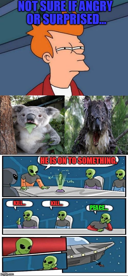 Brainfryed!!! | NOT SURE IF ANGRY OR SURPRISED... HE IS ON TO SOMETHING. KILL... KILL... PEACE... | image tagged in surprised koala,angry koala,futurama fry,alien meeting suggestion | made w/ Imgflip meme maker