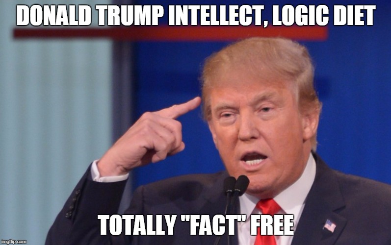 Donald Trump Smart Thinking | DONALD TRUMP INTELLECT, LOGIC DIET; TOTALLY "FACT" FREE | image tagged in donald trump smart thinking | made w/ Imgflip meme maker