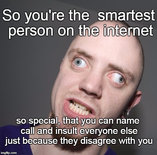 Internet Bully | So you're the  smartest person on the internet; so special, that you can name call and insult everyone else just because they disagree with you | image tagged in internet troll,smartest person on the internet | made w/ Imgflip meme maker
