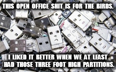 Open Office Shit | THIS  OPEN  OFFICE  SHIT  IS  FOR  THE  BIRDS. I  LIKED  IT  BETTER  WHEN  WE  AT  LEAST  HAD  THOSE  THREE  FOOT  HIGH  PARTITIONS. | image tagged in office,work | made w/ Imgflip meme maker