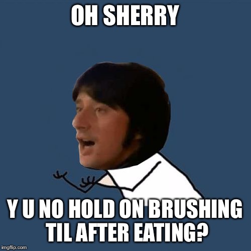 Y U No Steve Perry | OH SHERRY Y U NO HOLD ON BRUSHING TIL AFTER EATING? | image tagged in y u no steve perry | made w/ Imgflip meme maker