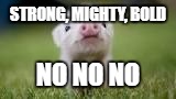 STRONG, MIGHTY, BOLD; NO NO NO | image tagged in pig | made w/ Imgflip meme maker