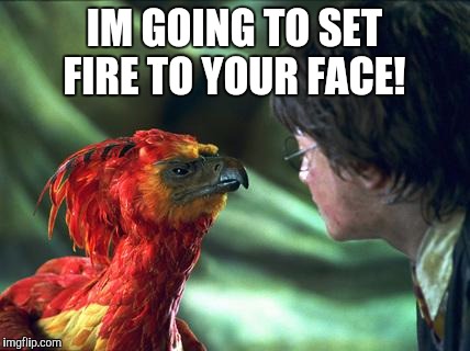 Phoenix Harry potter | IM GOING TO SET FIRE TO YOUR FACE! | image tagged in phoenix harry potter | made w/ Imgflip meme maker