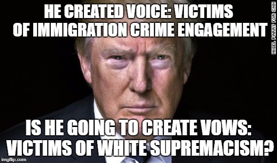 trump's white nationalism | HE CREATED VOICE: VICTIMS OF IMMIGRATION CRIME ENGAGEMENT; IS HE GOING TO CREATE VOWS: VICTIMS OF WHITE SUPREMACISM? | image tagged in hate | made w/ Imgflip meme maker