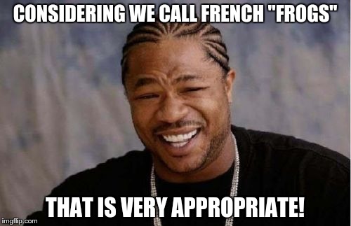 Yo Dawg Heard You Meme | CONSIDERING WE CALL FRENCH "FROGS" THAT IS VERY APPROPRIATE! | image tagged in memes,yo dawg heard you | made w/ Imgflip meme maker