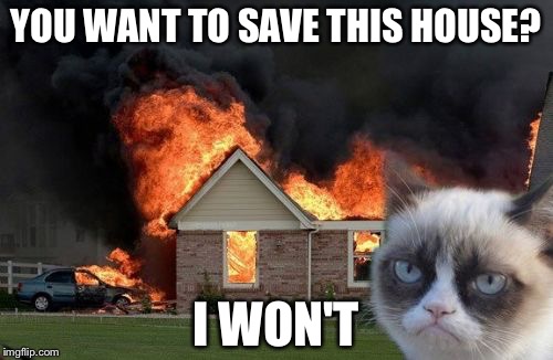 Burn Kitty Meme | YOU WANT TO SAVE THIS HOUSE? I WON'T | image tagged in memes,burn kitty,grumpy cat | made w/ Imgflip meme maker