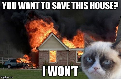 Burn Kitty | YOU WANT TO SAVE THIS HOUSE? I WON'T | image tagged in memes,burn kitty,grumpy cat | made w/ Imgflip meme maker
