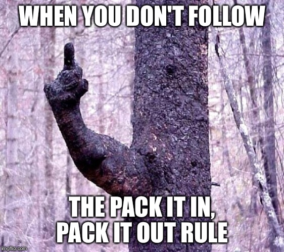 WHEN YOU DON'T FOLLOW; THE PACK IT IN, PACK IT OUT RULE | image tagged in backpacking,respect the forest | made w/ Imgflip meme maker
