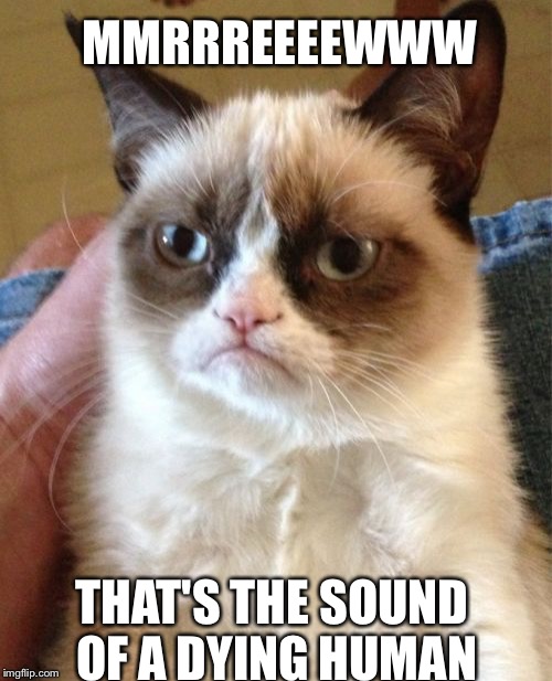 Grumpy Cat Meme | MMRRREEEEWWW; THAT'S THE SOUND OF A DYING HUMAN | image tagged in memes,grumpy cat | made w/ Imgflip meme maker