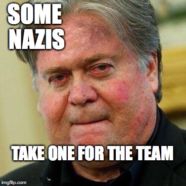 Bye Bye Bannon | SOME NAZIS; TAKE ONE FOR THE TEAM | image tagged in steve bannon,trump,nazi,bobcrespocom | made w/ Imgflip meme maker