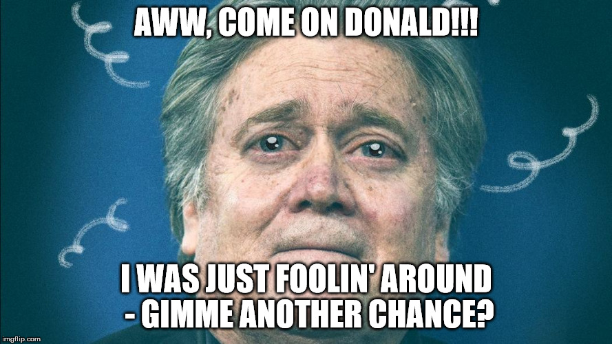 Steve Bannon Out | AWW, COME ON DONALD!!! I WAS JUST FOOLIN' AROUND - GIMME ANOTHER CHANCE? | image tagged in steve bannon,donald trump,united states,bannon,bannon out,asshole | made w/ Imgflip meme maker