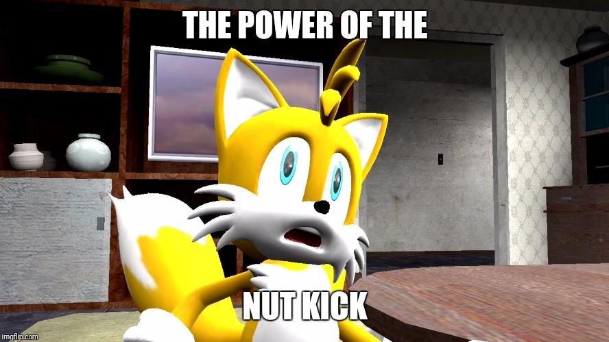 The power of the | THE POWER OF THE; NUT KICK | image tagged in the power of the | made w/ Imgflip meme maker