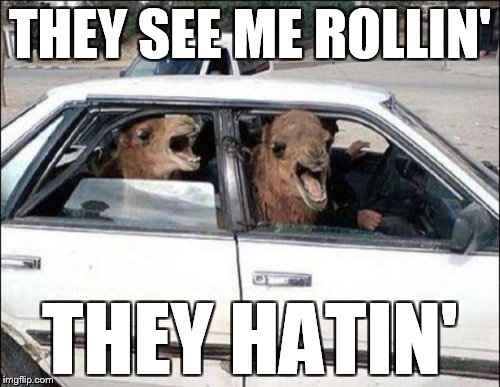 Camels' Thug Life | THEY SEE ME ROLLIN'; THEY HATIN' | image tagged in memes,quit hatin | made w/ Imgflip meme maker