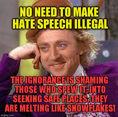 Mate in 3! | NO NEED TO MAKE HATE SPEECH ILLEGAL; THE IGNORANCE IS SHAMING THOSE WHO SPEW IT, INTO SEEKING SAFE PLACES. THEY ARE MELTING LIKE SNOWFLAKES! | image tagged in memes,creepy condescending wonka | made w/ Imgflip meme maker