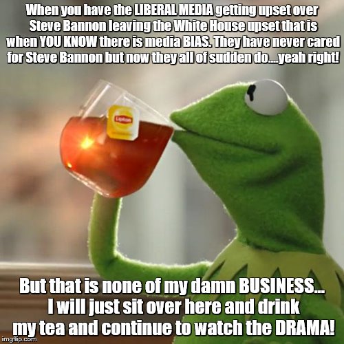 Liberals MEDIA is so bias right now....   | When you have the LIBERAL MEDIA getting upset over Steve Bannon leaving the White House upset that is when YOU KNOW there is media BIAS. They have never cared for Steve Bannon but now they all of sudden do....yeah right! But that is none of my damn BUSINESS... I will just sit over here and drink my tea and continue to watch the DRAMA! | image tagged in memes,but thats none of my business,kermit the frog | made w/ Imgflip meme maker