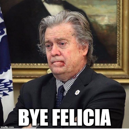 BYE FELICIA | image tagged in steve bannon,race bannon,bannon quits | made w/ Imgflip meme maker