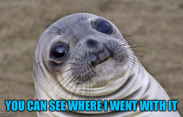 Awkward Moment Sealion Meme | YOU CAN SEE WHERE I WENT WITH IT | image tagged in memes,awkward moment sealion | made w/ Imgflip meme maker