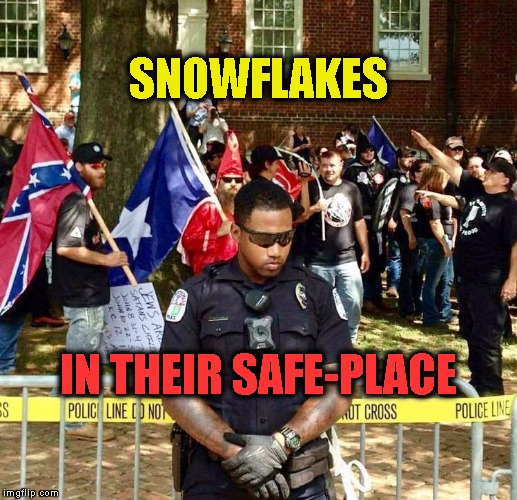 Irony? | SNOWFLAKES; IN THEIR SAFE-PLACE | image tagged in safespace | made w/ Imgflip meme maker