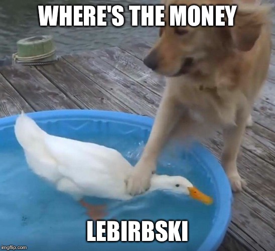 WHERE'S THE MONEY; LEBIRBSKI | image tagged in doggo,birb,big lebowski | made w/ Imgflip meme maker