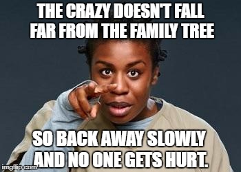 Crazy Eyes | THE CRAZY DOESN'T FALL FAR FROM THE FAMILY TREE; SO BACK AWAY SLOWLY AND NO ONE GETS HURT. | image tagged in crazy eyes | made w/ Imgflip meme maker