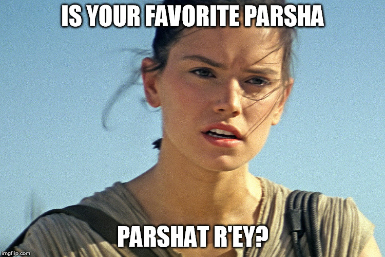 Star Wars Rey | IS YOUR FAVORITE PARSHA; PARSHAT R'EY? | image tagged in star wars rey | made w/ Imgflip meme maker