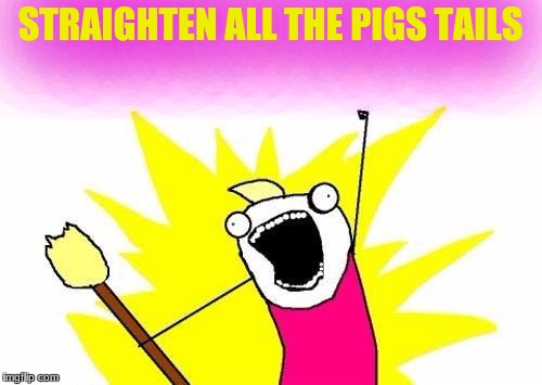 X All The Y Meme | STRAIGHTEN ALL THE PIGS TAILS | image tagged in memes,x all the y | made w/ Imgflip meme maker